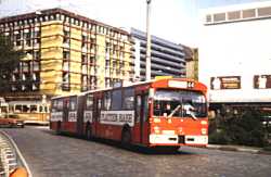 Bus 964